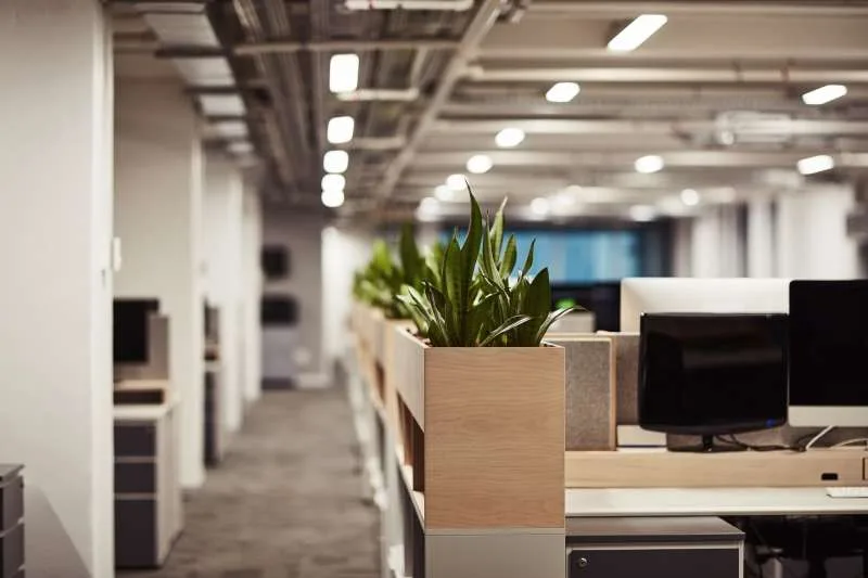 open-plan office interior with wooden planter boxes